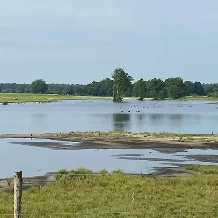 In Near Leenderbos Forest, Cleaning Included